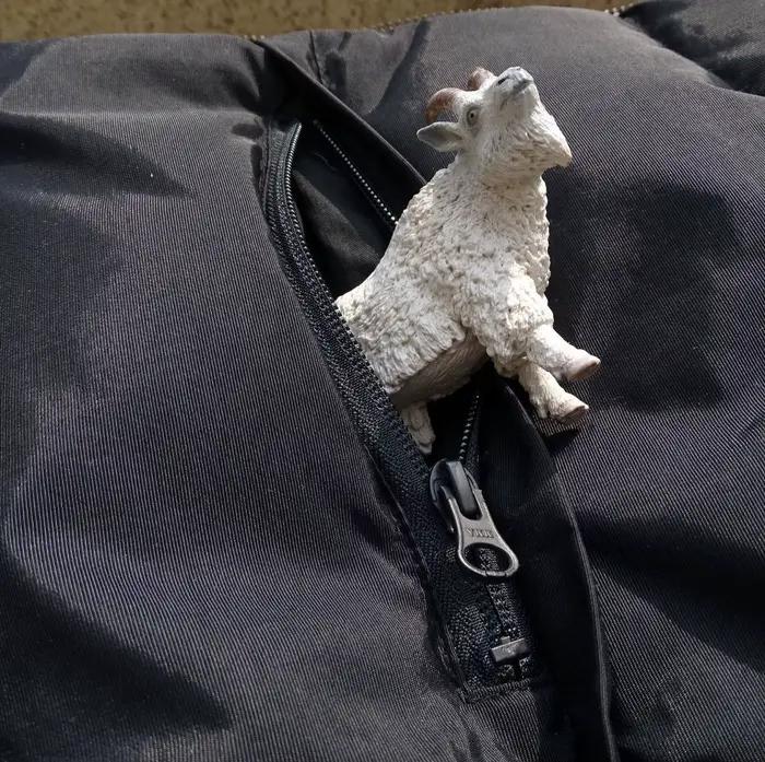 Veste d'hiver en cuir véritable et peau de mouton naturelle décontractée pour homme, idéale pour les journées froides et les sorties shopping, taille européenne disponible en plusieurs tailles